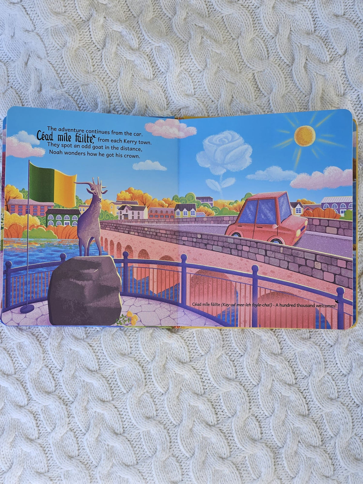 Noah's-Kerry -adventure - Book